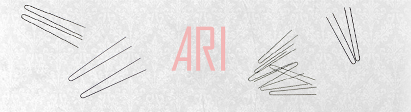 Ari Ari
