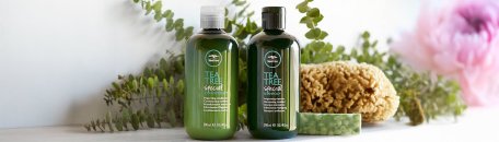 Paul Mitchell Teatree Paul Mitchell Teatree