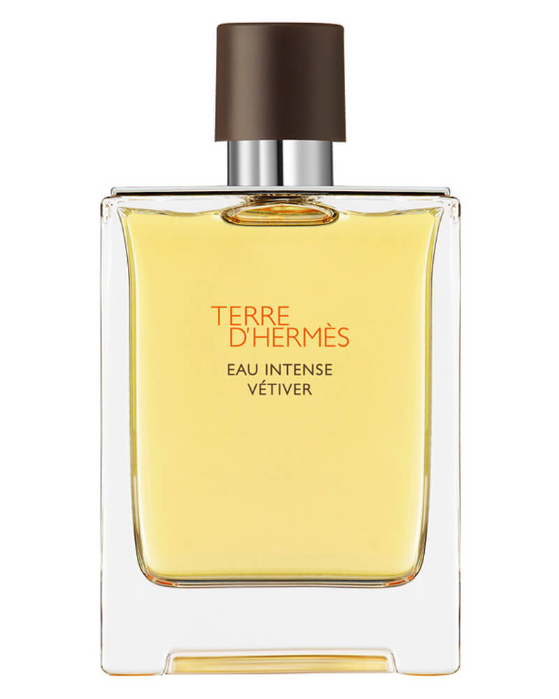 Hermes Terre d'Hermès Eau Intense Vetiver EDP 100 ml billede