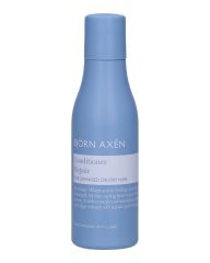 Björn Axén Repair Conditioner