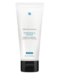 SkinCeuticals Hydrating B5 Masque