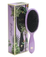 Fan-Palm-Brush-Medium-Butterfly