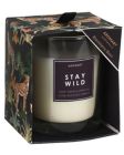 excellent-houseware-stay-wild-sweet-grass-&-dandelion