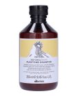 Davines Natural Tech Purifying Shampoo 250ml