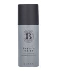 Björk Spraya Hårt Hard Hairspray Mini