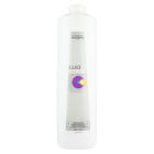 Loreal Beize Luo Color Releaser 1000ml