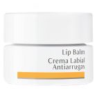 Dr. Hauschka Lip Balm 4,5ml 