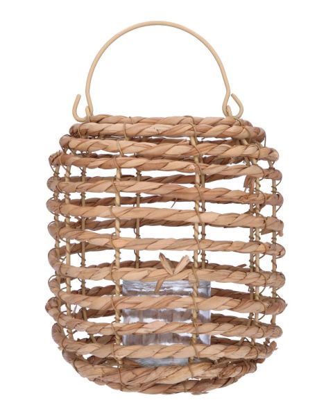 Lantern Natural Cattail 19X23C