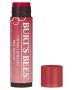 burts bees lip balm