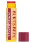 Burt's Bees Mouisturizing Lip Balm - Pomegranate