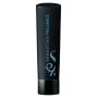 Sebastian Trilliance Shampoo 250 ml