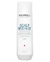Goldwell Scalp Specialist Anti-Dandruff Shampoo  250 ml
