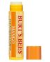 Burt's Bees Mouisturizing Lip Balm - Mango