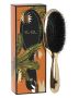 Fan-Palm-Brush-Medium-Hollywood