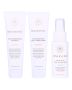 Innersense Color Travel Trio