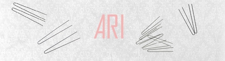 Ari - Køb Ari her - Tilbud på Ari - Billigt Ari - Hurtig levering Ari - Køb Ari her - Tilbud på Ari - Billigt Ari - Hurtig levering