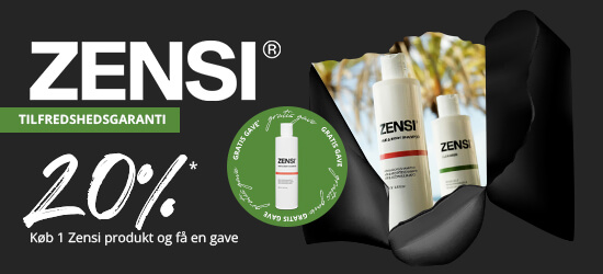 Zensi