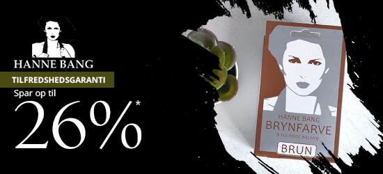 Hanne Bang